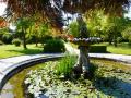 Tregrehan Gardens - the walled garden