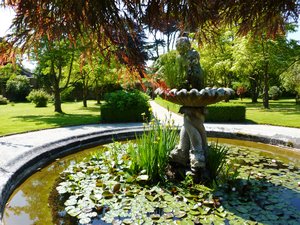 Tregrehan Gardens - the walled garden