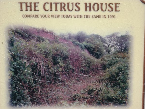 The Citrus House - then