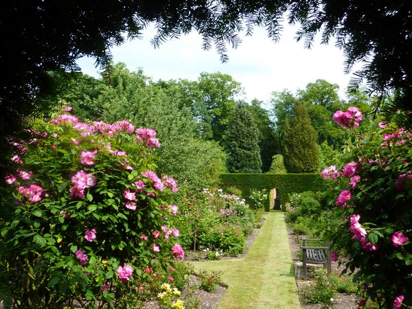 The Rose Garden, Bradenham Hall