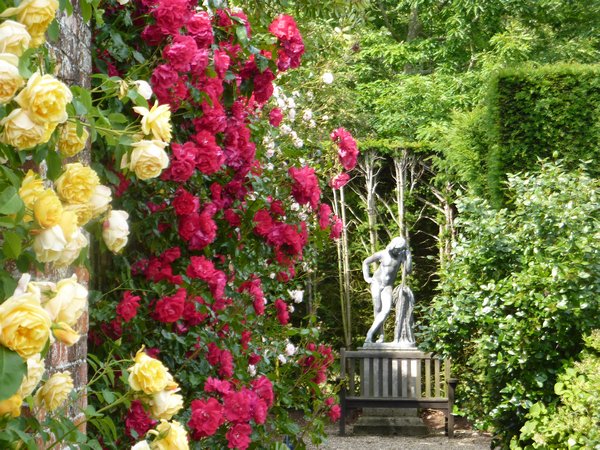 Roses and a statue, Bradenham Hall