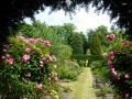 The Rose Garden, Bradenham Hall