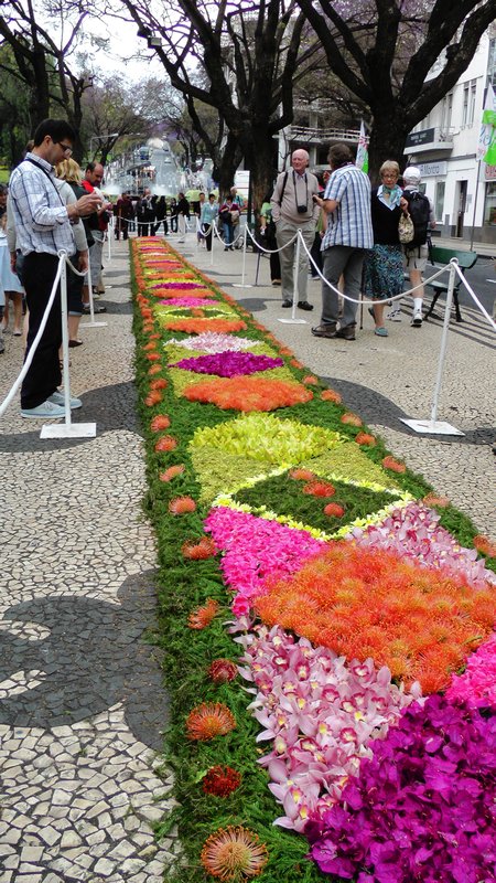 Another flower carpet