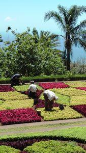 Gardeners at work - Botanical Gardens