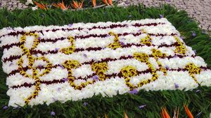 Flower carpet detail