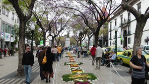 Flower carpet  - Avenida Arriaga