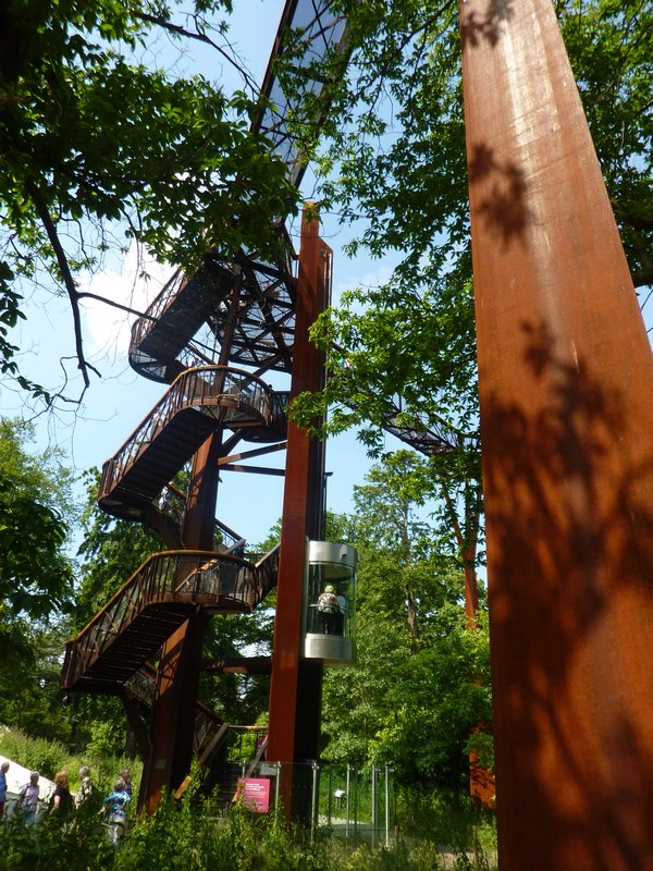 This way to the Treetop Walkway!