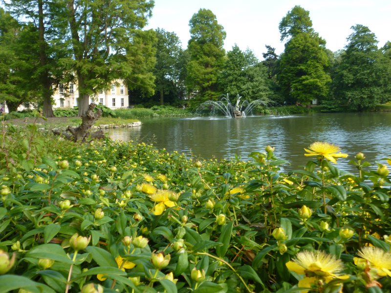 A view of the lake near the Palm House