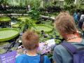 In the Waterlily House