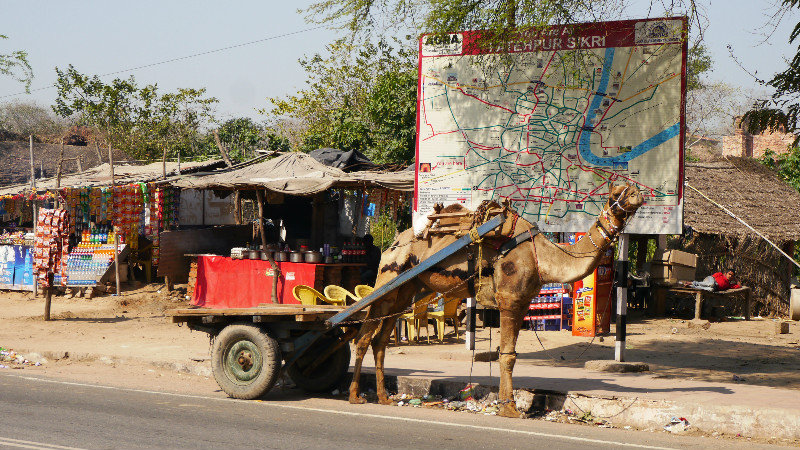 Camel Cart at Fatehpur Sikri