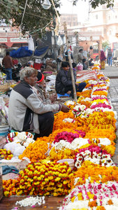 The colourful flower sellers