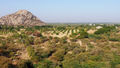 The view from Jawai Dam