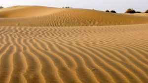 Our destination - the deserted sand dunes