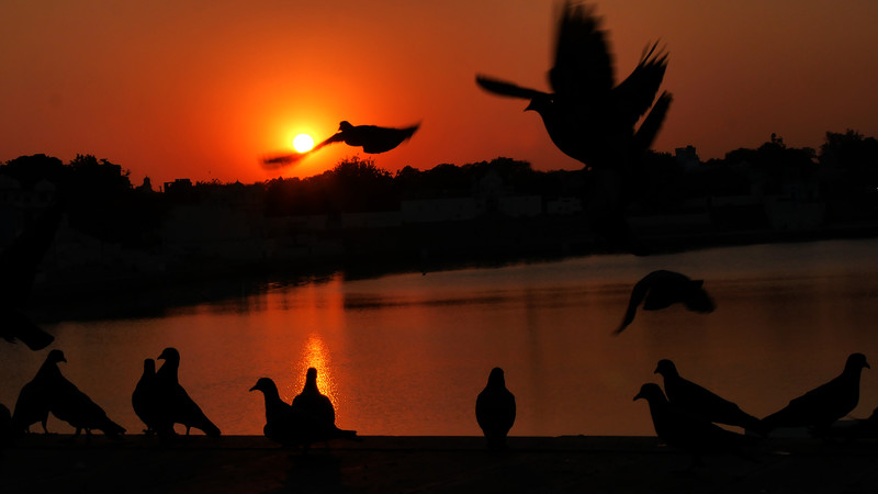 A memory of Pushkar Lake at sunset