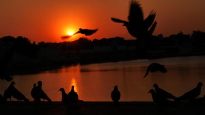 A memory of Pushkar Lake at sunset